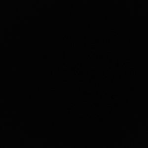 Meet your Posher, Reginald